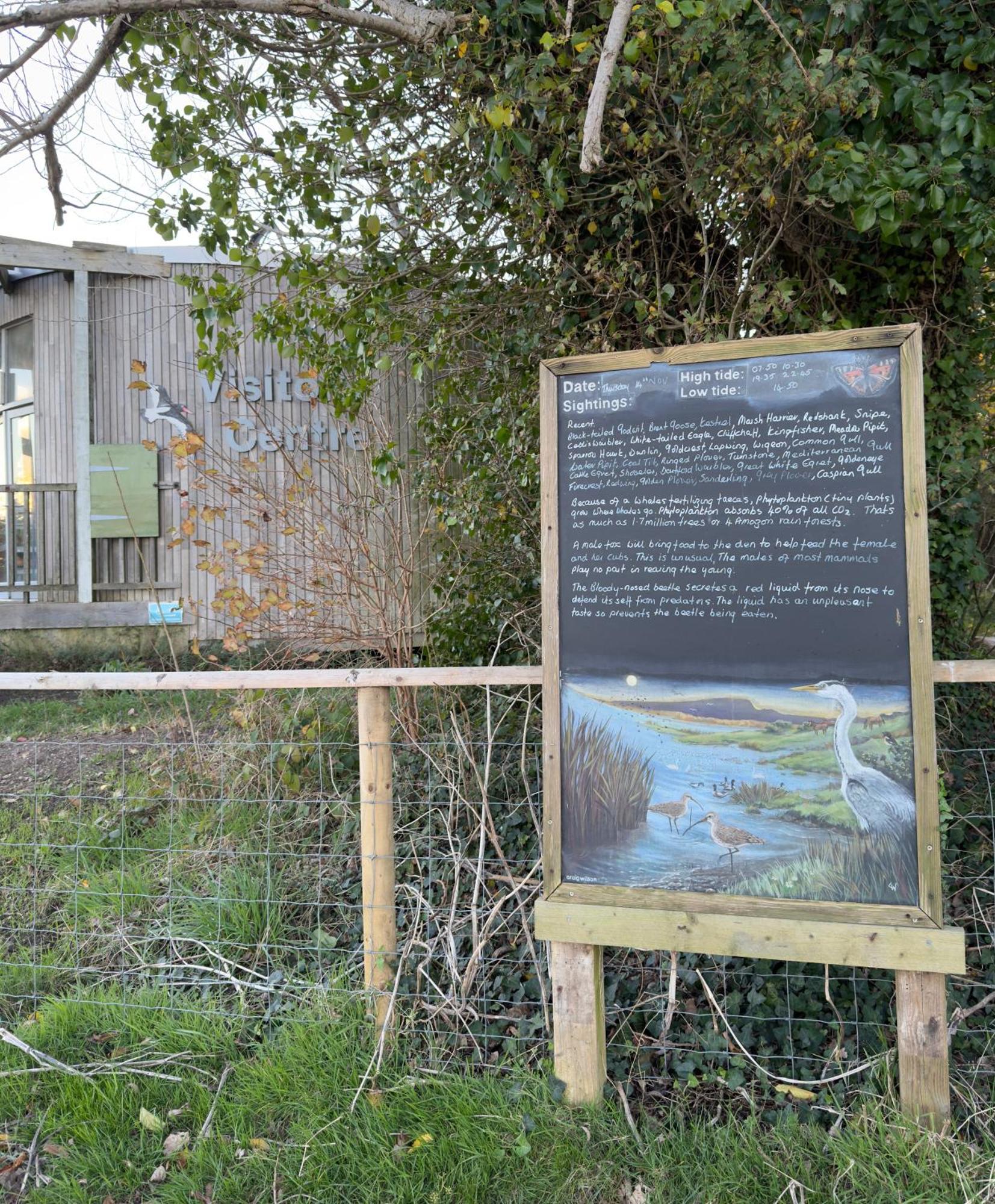 Ferienwohnung Good Vibes Christchurch  Exterior foto